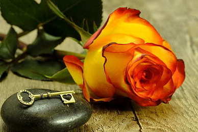 闺蜜的暖心文案 适合闺蜜的文案有哪些?