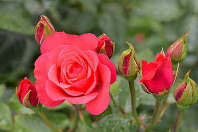 写给女朋友的贺卡短句 写给女朋友的生日贺卡短句