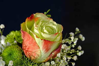 思念死去姐姐的短句 怀念去世的姐姐，写几句话