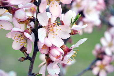 现在的爱情太假的句子文案 太假了的句子文案说说心情