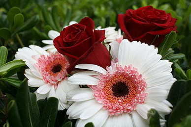 高情商女人早安说说文案 高情商女人的心情说说文案