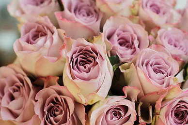 2023文案短句爱情 2023年美好爱情的句子短句