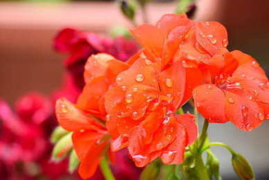 赞美男孩可爱超萌的话 赞美小男孩帅、可爱的词语有哪些？