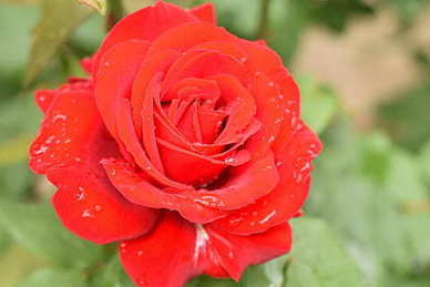 被女朋友扎心的句子文案