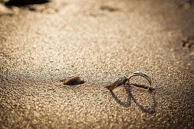 100句浪漫好句子文案 100句最暖心的爱情句子文案