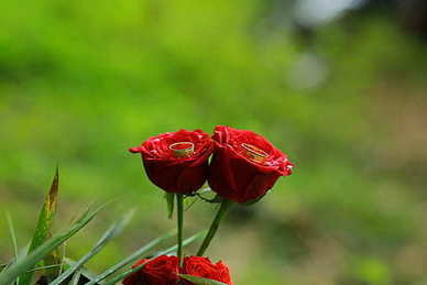 关于爱情的人生感悟句子文案 人生爱情哲理的句子文案