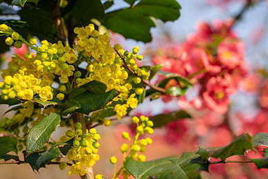 伤心情话文案最暖心短句 情话文案最暖心短句？