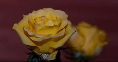 兄弟感情破裂的说说 关于兄弟感情已要破灭的唯美句子文案