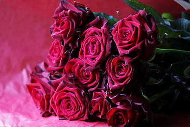 分手后晚安晚安句子文案 分手后适合发朋友圈的句子文案有哪些？