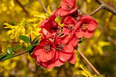 安慰人的暖心句子文案 暖心安慰人的句子文案