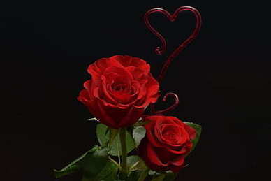 遇到你我很幸福一句话 遇见你我很幸福作文