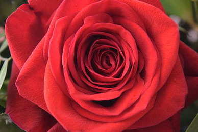 女人励志的话唯美句子文案早安 女人早安的励志语录有什么？