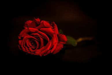 男朋友在床上的情话文案 床上最能打动男人的情话文案都有哪些？