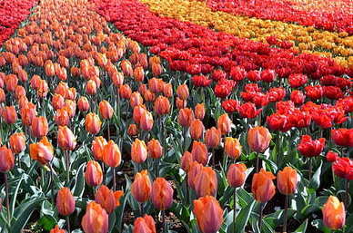 恭喜朋友脱单的搞笑句子文案 朋友脱单搞笑的说说