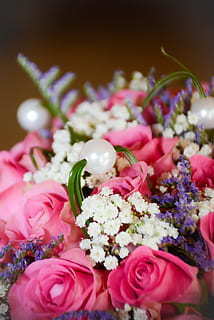 对情人最深情的祝福语 情人之间的祝福语