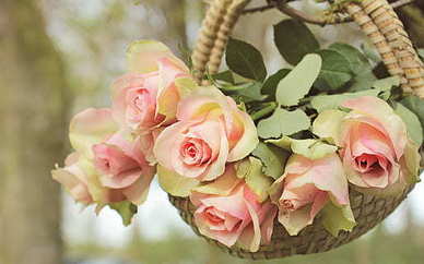 大晚上撩男朋友的情话文案污 床上撩男友的情话文案套路都有哪些?