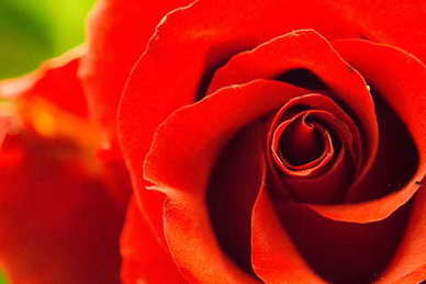 名人名言关于爱情语录文案 有关爱情的名人名言及经典语录文案