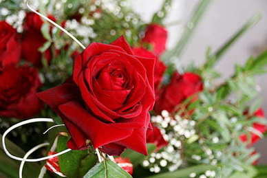 提醒女朋友吃饭的幽默短信 发给女朋友提醒她按时吃饭的幽默关怀短信