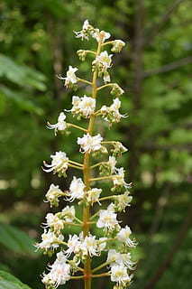 开车经典语句文案 开车经典语句文案