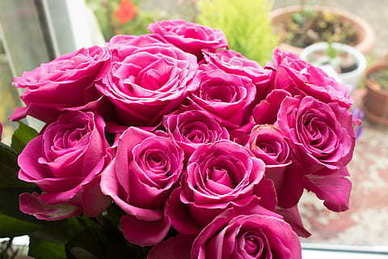 异地恋521天情话文案 异地恋情话文案最暖心短句