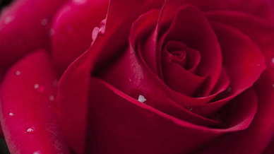 霸气护妻语录文案 女人霸气语录文案经典