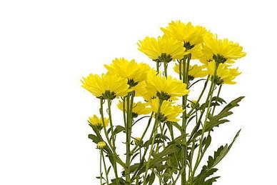 对喜欢的人告别的话 怎么跟自己喜欢的人说段告别的话?