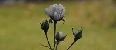 要开始异地恋的朋友圈 异地恋发朋友圈的句子文案