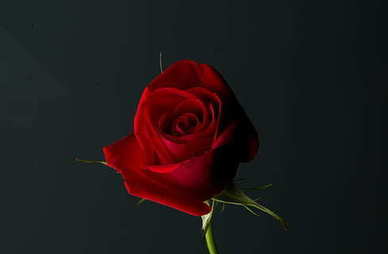 折磨男朋友的话 如何折磨前男友？