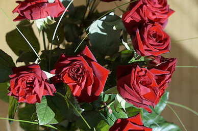 关于月亮的撩人情话文案短句 关于星星的情话文案短句