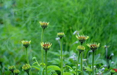 亲吻的经典语录文案 亲亲亲吻鱼中最经典的几句话是什么？