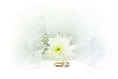 男生对女生表白的话大全 男生向女生表白的话