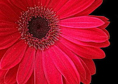 关于给老公说的情话文案 给老公说的暖心的情话文案有哪些？