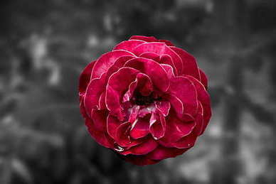 万能优美开头结尾摘抄幸福 关于幸福的开头结尾摘抄有哪些？