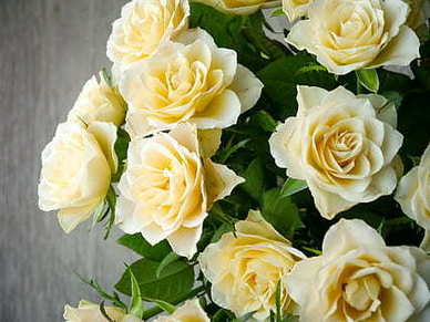 写给爱的女人的话 让心爱的女人感动的话