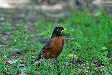 警告闺蜜男朋友的狠话 警告闺蜜男友好好对闺蜜的话