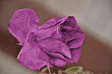 5118情感文案 关于情感的文案短句有哪些？