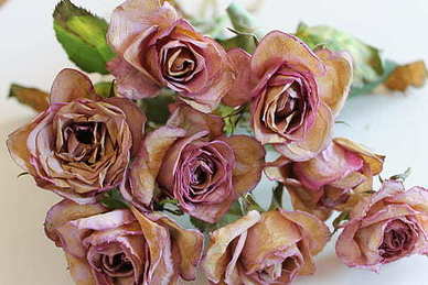 失望透顶分手的句子文案 对另一半失望透顶委婉的句子文案