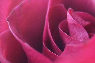 对女生美好祝福的句子文案 对女孩子的祝福语