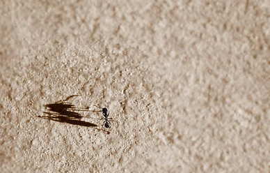 爱情霸气语录文案 求感人的，有霸气的爱情语录文案！