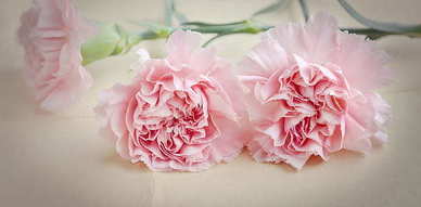 快手想找对象的文案