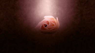 夫妻情感语录 关于夫妻感情的句子文案