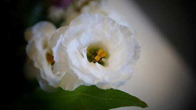 分手吓人套路的话 分手惯用的套路有哪些？