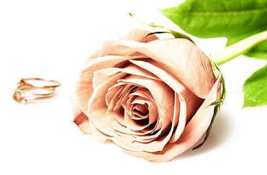 祝福好友幸福精美句子文案 祝福朋友幸福的句子文案简短