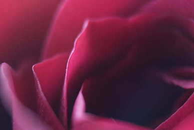 女朋友生日文案短句 给女朋友生日暖心句子