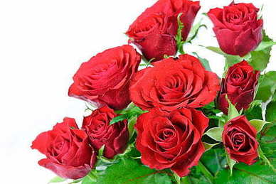 结婚纪念日唯美的句子文案 结婚纪念日的唯美句子文案发朋友圈