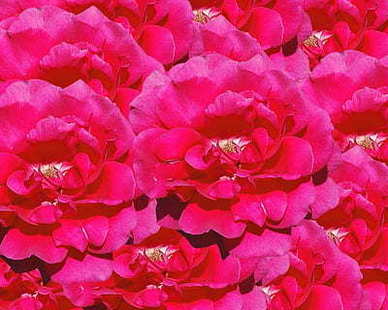 形容小女孩爱美的句子文案 形容漂亮的小女孩的句子文案？