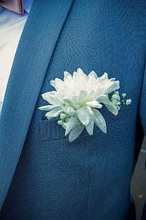 清明思念亲人伤心句子文案 清明节思念已故亲人的句子文案