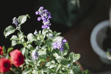 心灵鸡汤情感小短文 心灵鸡汤300字小故事