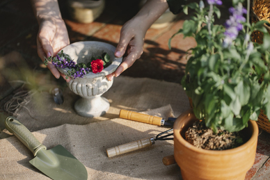 爱情败给了现实句子文案 感情输给了现实的句子文案