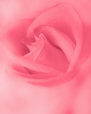 2023最火结婚祝福语图片 2023最火结婚祝福语